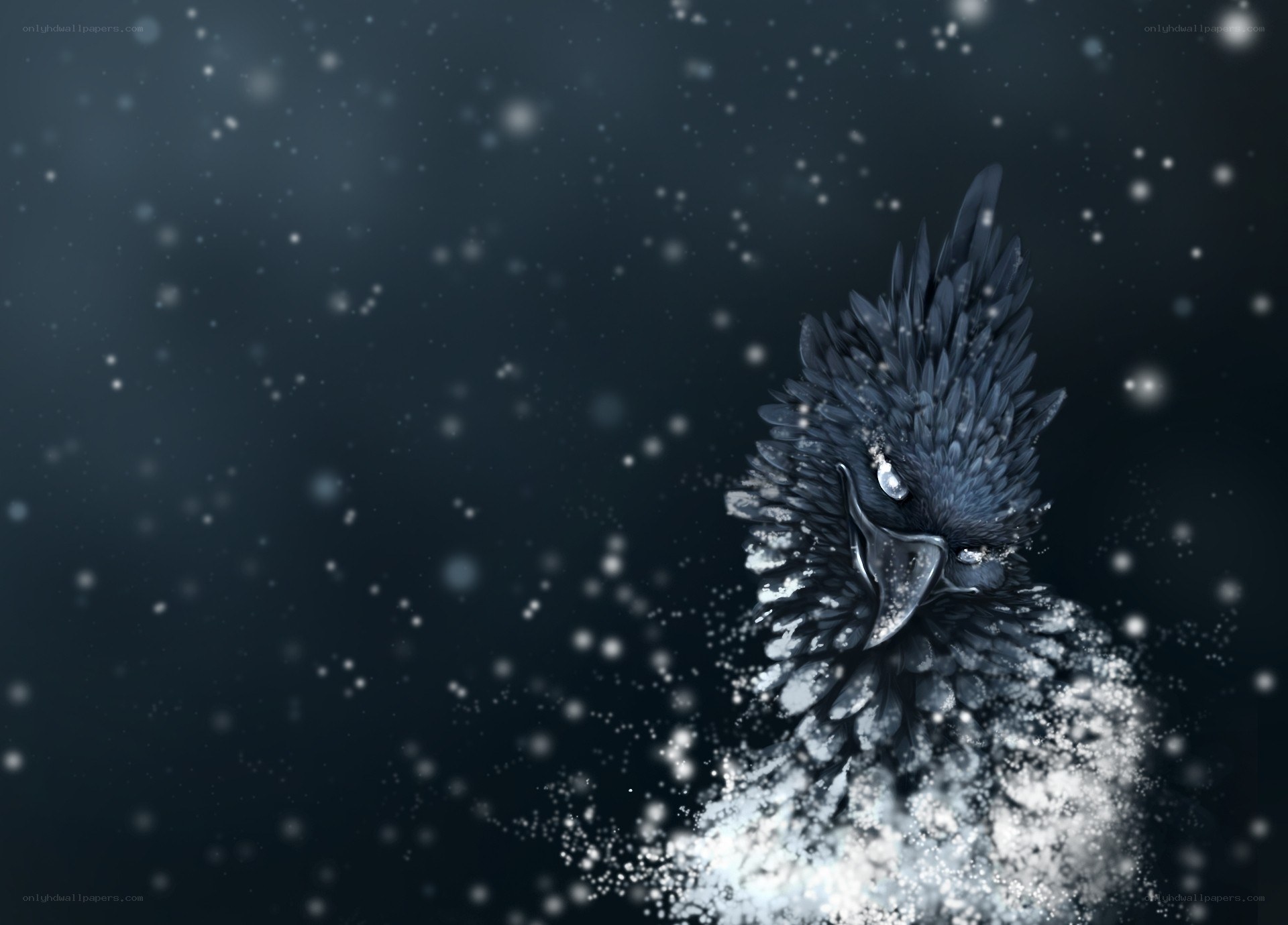 black bird in snowstorm