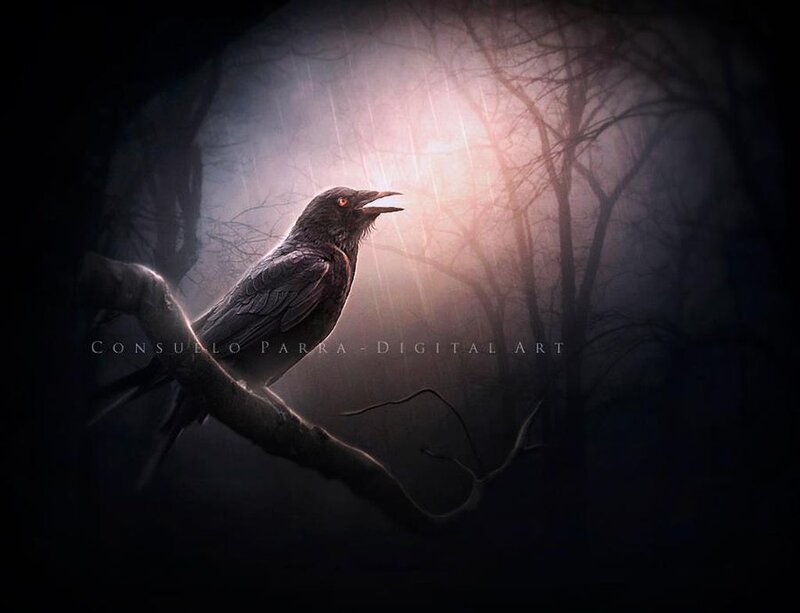 Black Bird on Branch — Dramatic