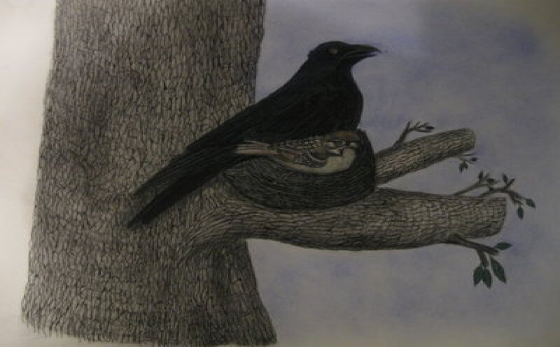 Black Bird on Branch — Somber