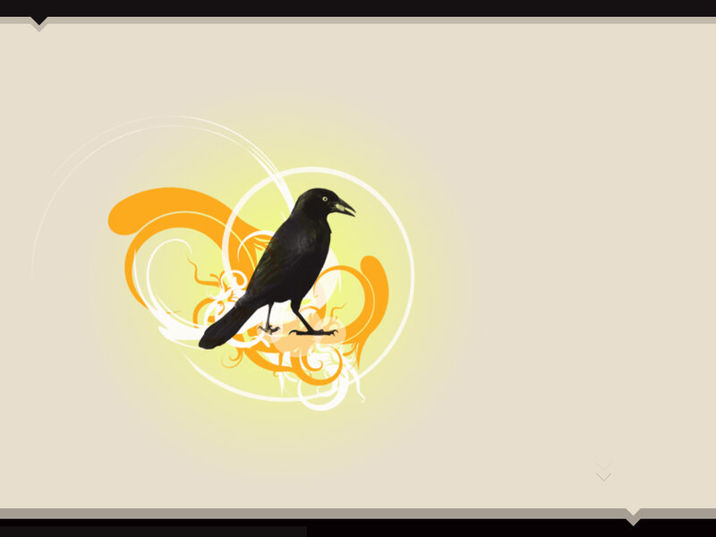 black bird on decorative background