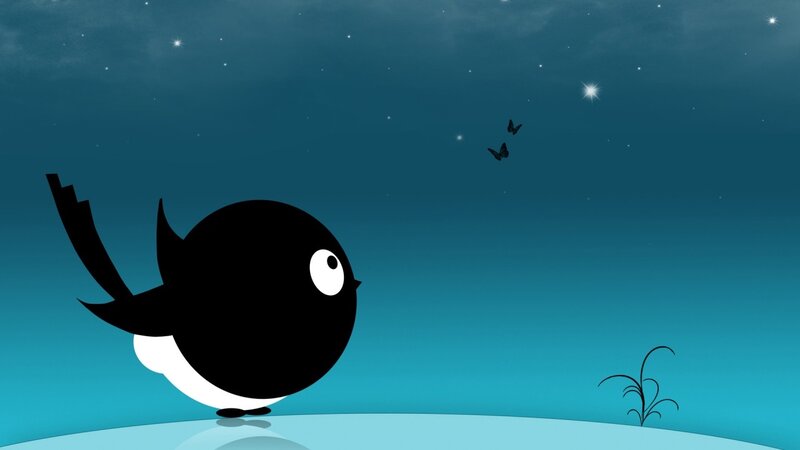 Black Bird on Ground