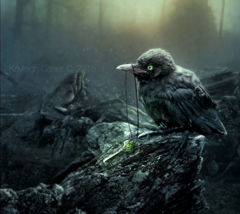 Black Bird on Rock — Gray