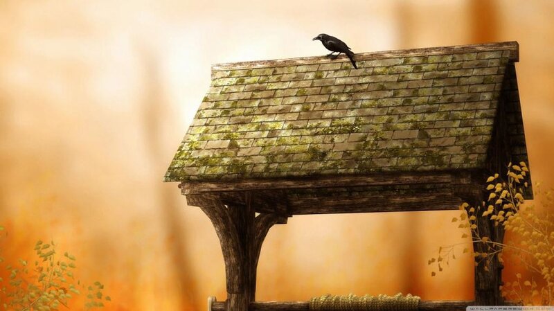 Black Bird on Roof