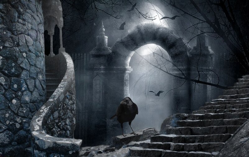 Black Bird on Stone Steps