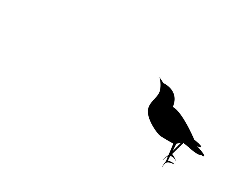 Black Bird Silhouette — Calm