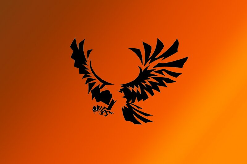 Black Bird Silhouette — Orange