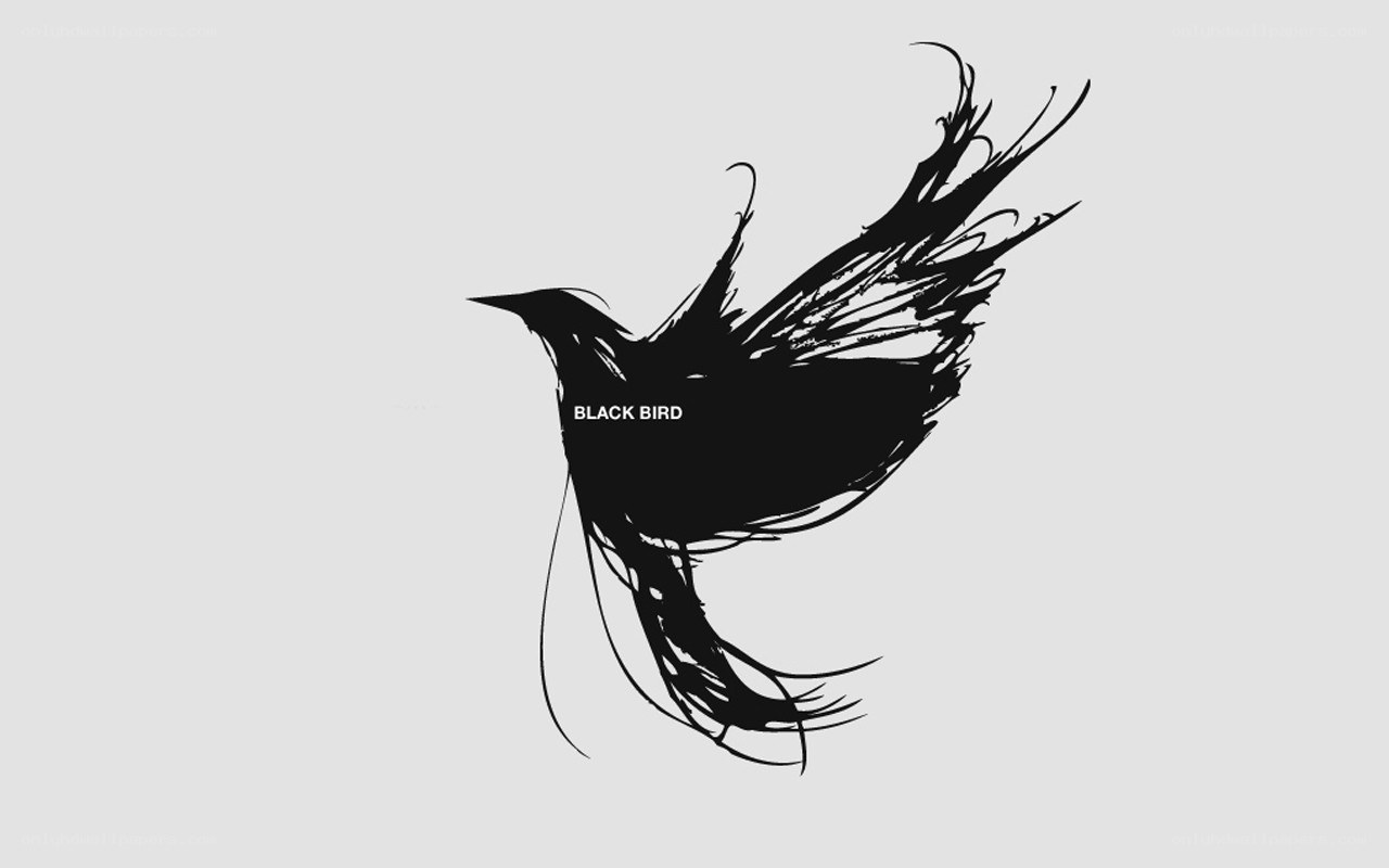 black bird silhouette