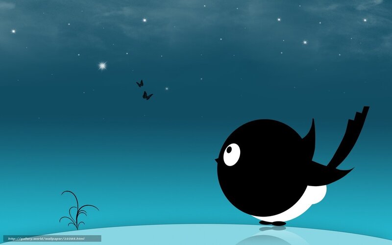 Black bird under starry sky