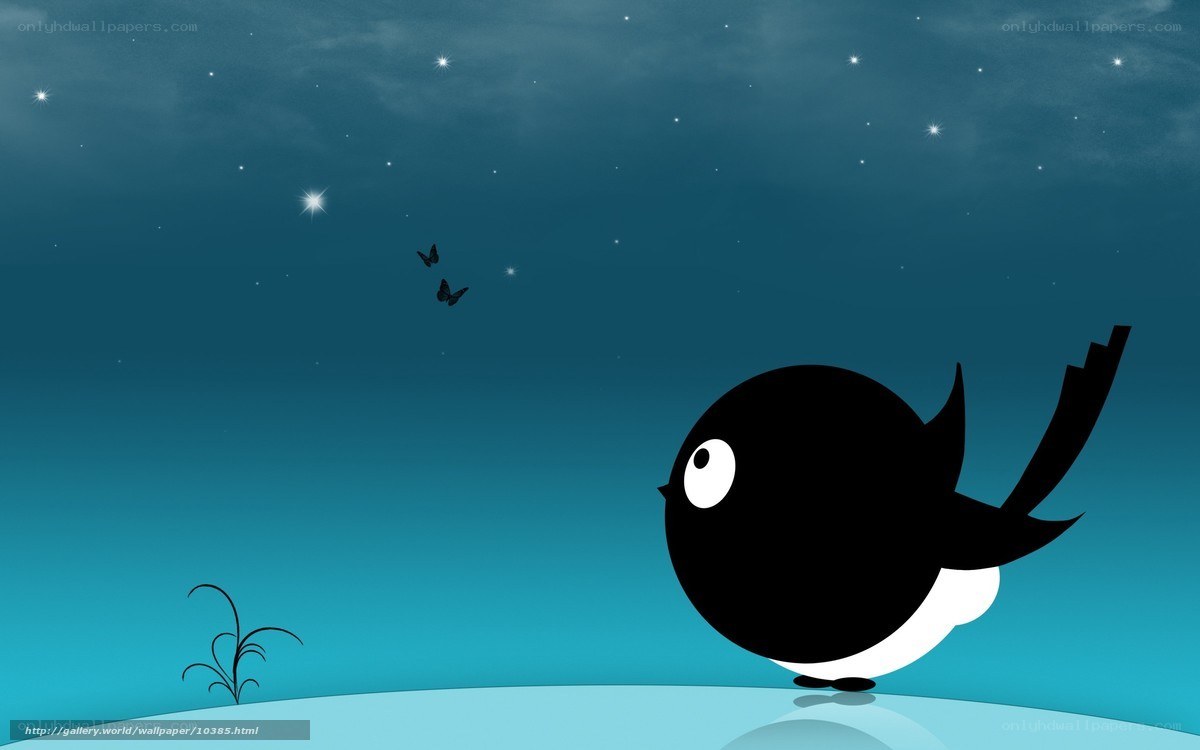 Black bird under starry sky