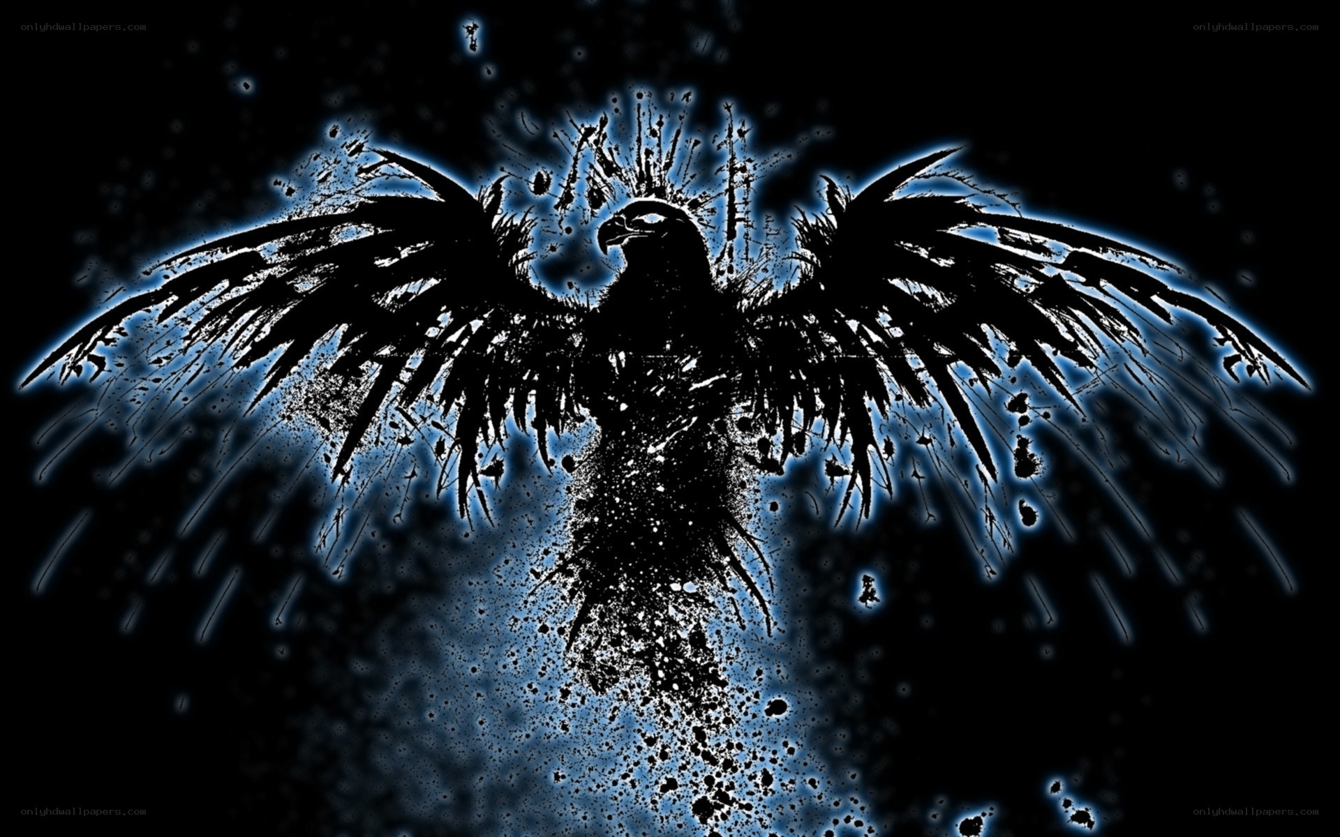 black bird with blue aura