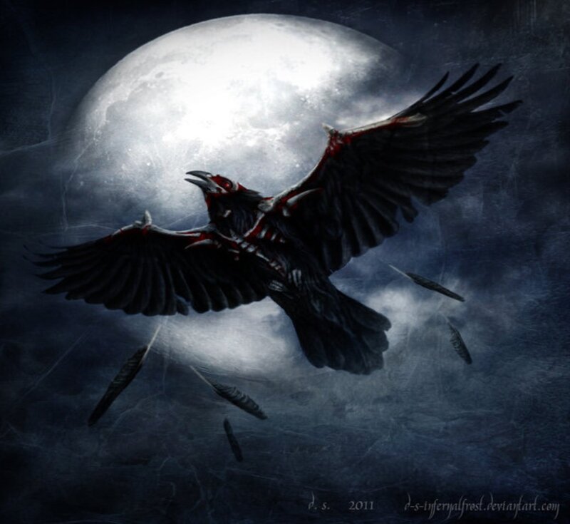Black Bird with Red Markings