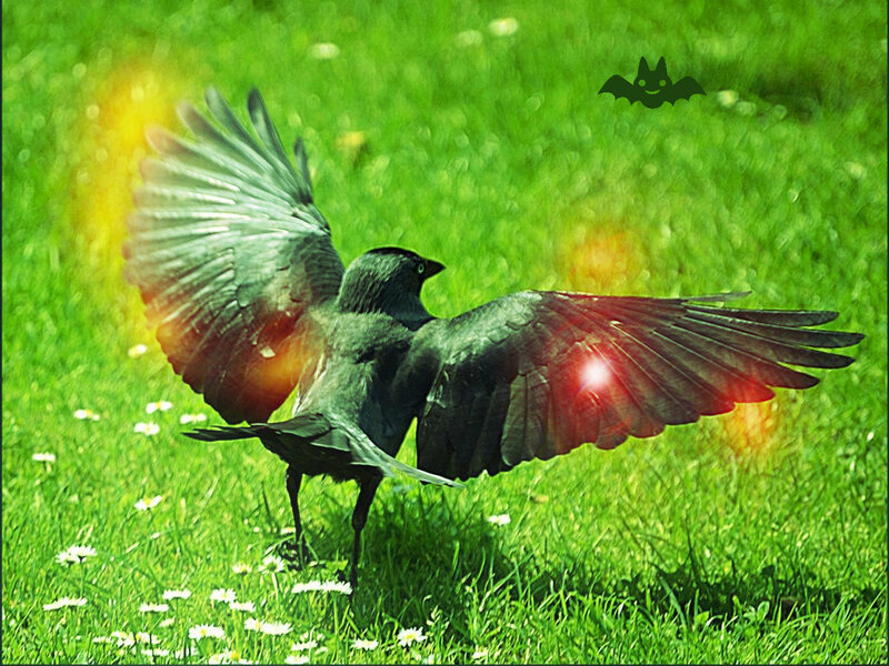 Black Bird with Spread Wings — Green