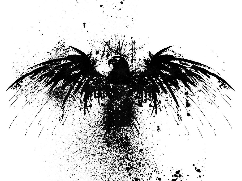 black bird with spread wings