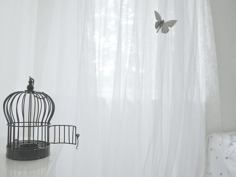 Black Birdcage with Butterfly