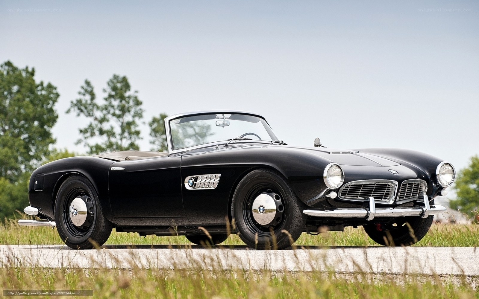 Black BMW 502 Convertible