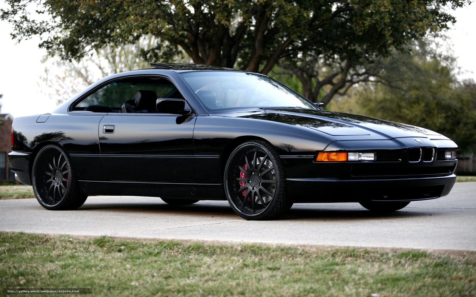 Black BMW 8 Series coupe