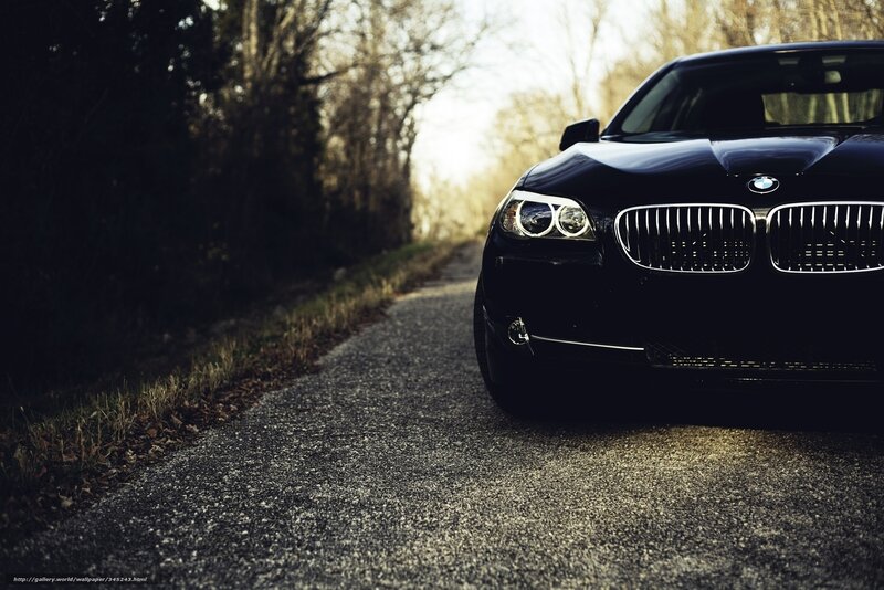 Black Bmw Car — Dramatic, Autumn, Photograph, Road, Trees
