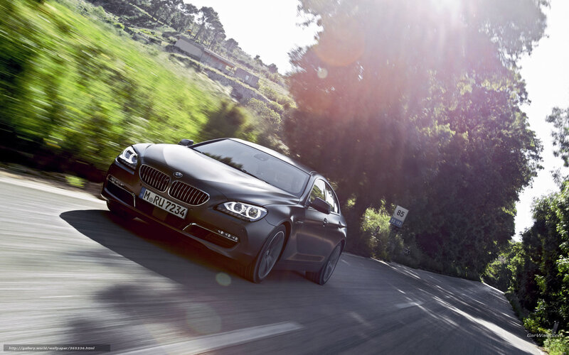 Black BMW Car — Dynamic, Afternoon