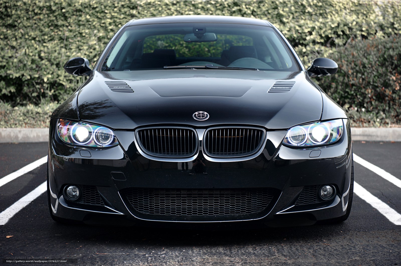 black bmw car front view