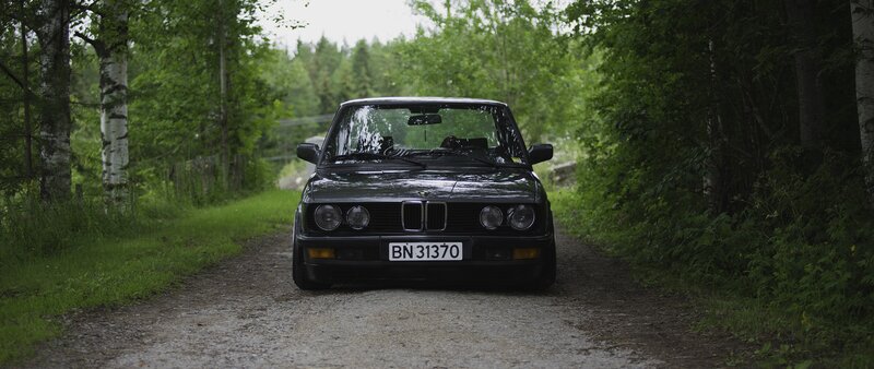 Black BMW Car — Green, Serene, Morning