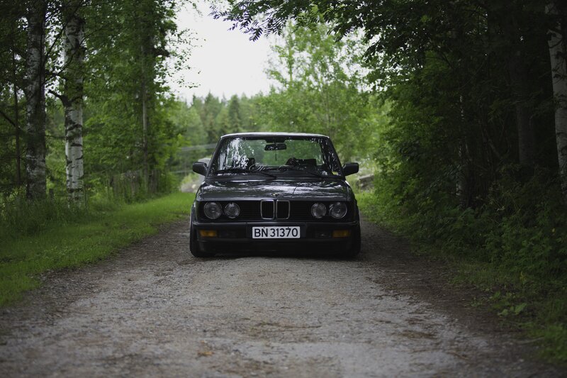 Black BMW Car — Green, Serene