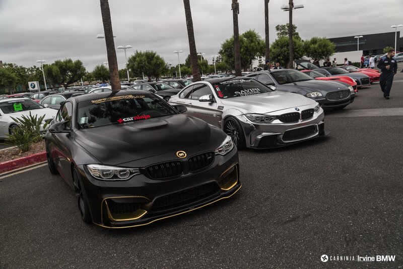 Black BMW Car — Overcast
