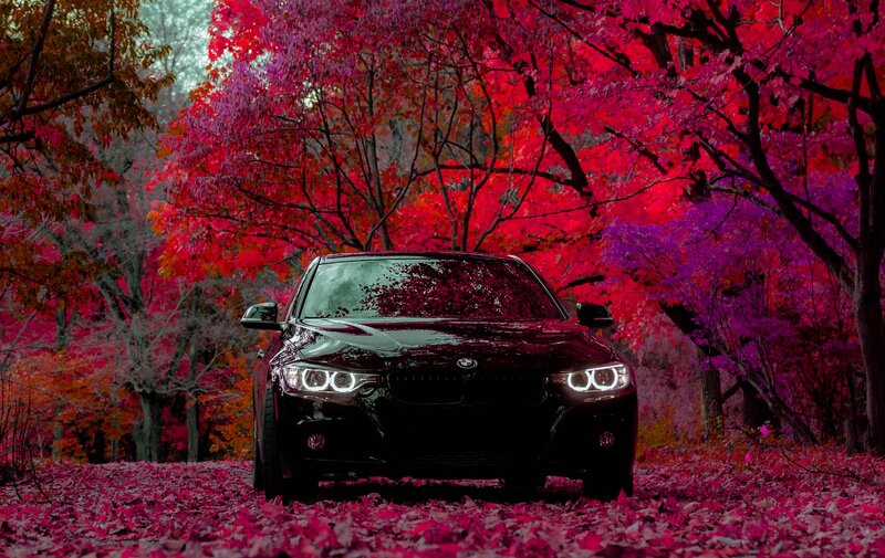 Black Bmw Car — Red