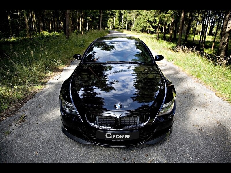 Black BMW Car — Serene, Afternoon, Photograph, Road, Forest
