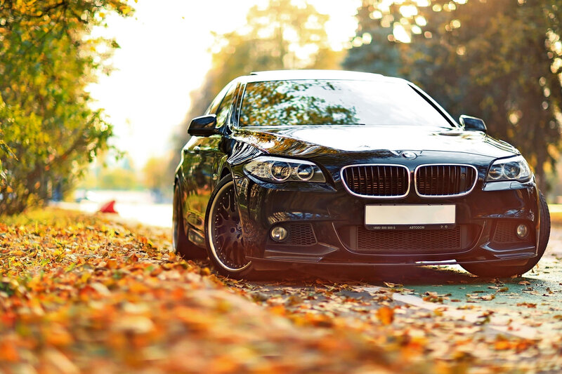 Black Bmw Car — Serene, Autumn