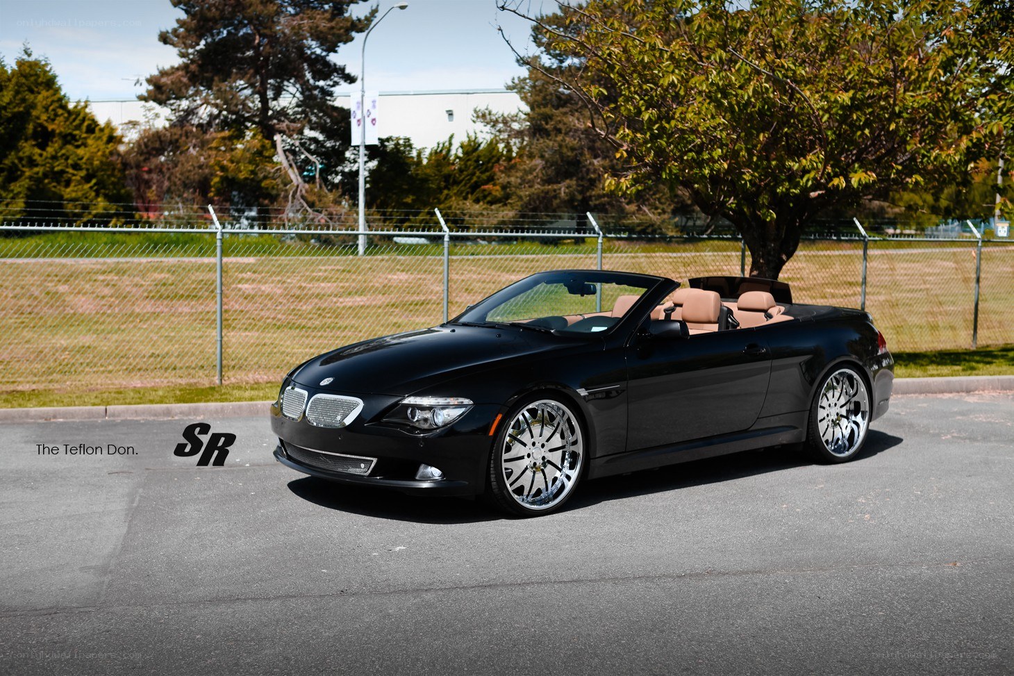 Black BMW convertible car