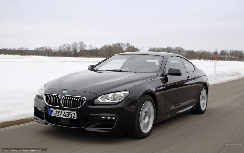 Black BMW Coupe — Cold
