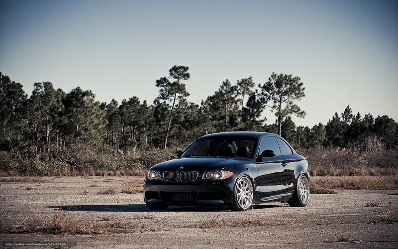 Black Bmw Coupe — Dramatic, Afternoon, Photograph, Car, Trees