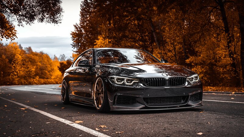 Black Bmw Coupe — Dramatic, Autumn