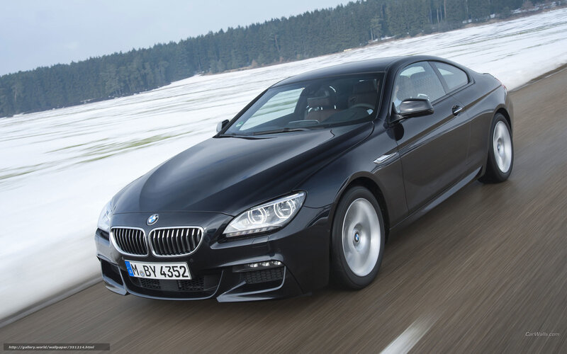 Black BMW Coupe — Dynamic, Winter, Photograph, Car, Snow
