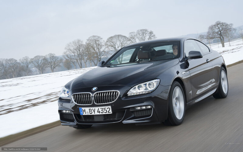Black BMW Coupe — Dynamic, Winter, Photograph
