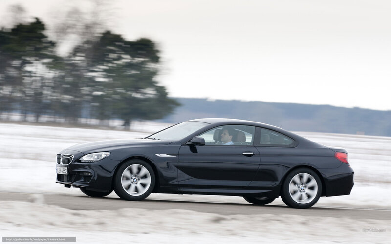 Black BMW Coupe — Dynamic, Winter