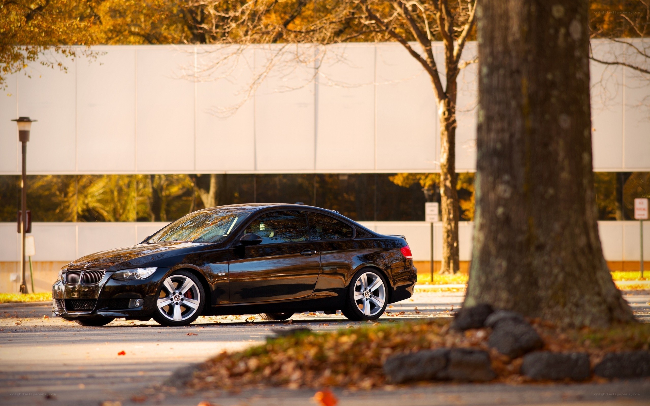 black bmw coupe in autumn