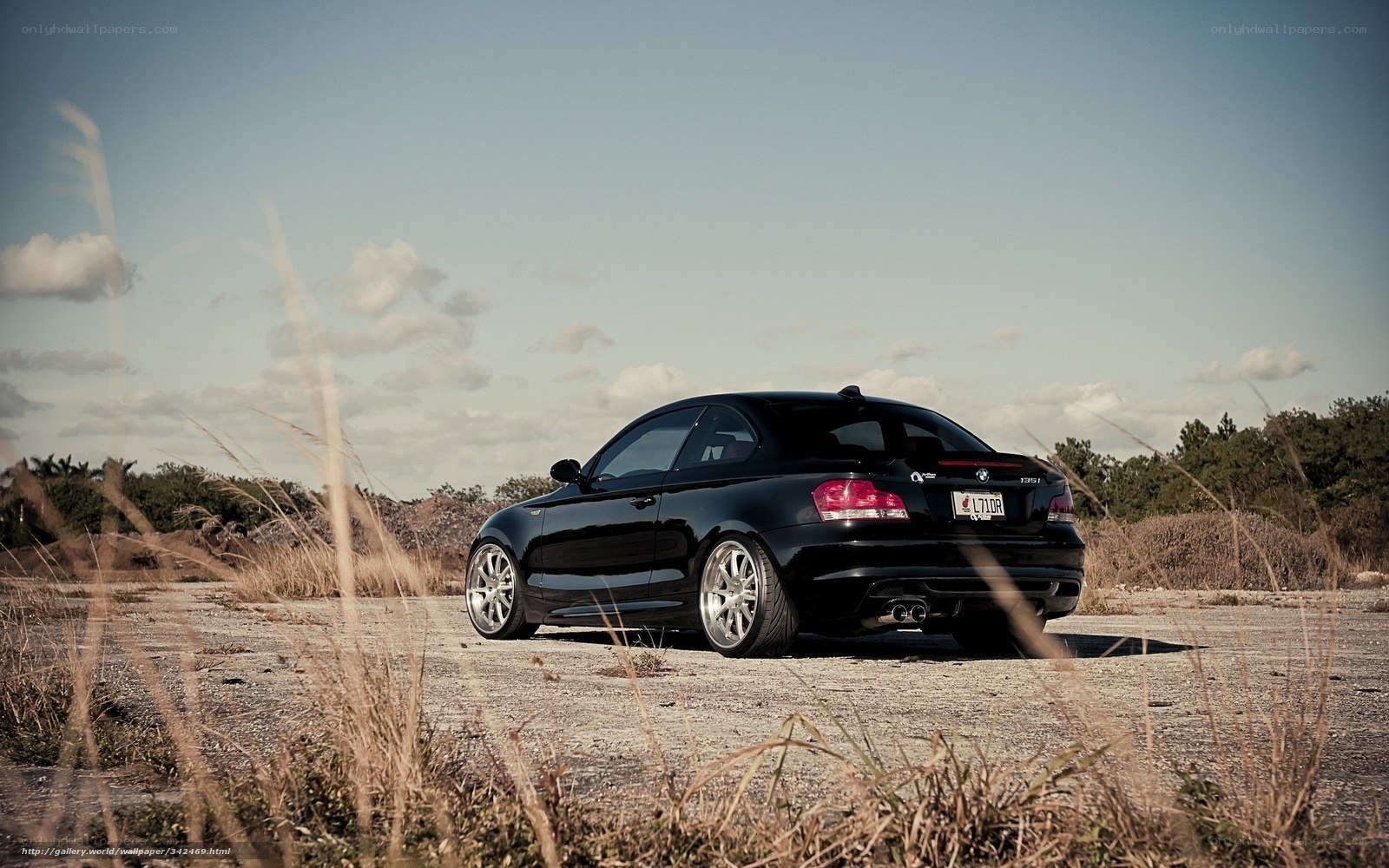 black bmw coupe in field
