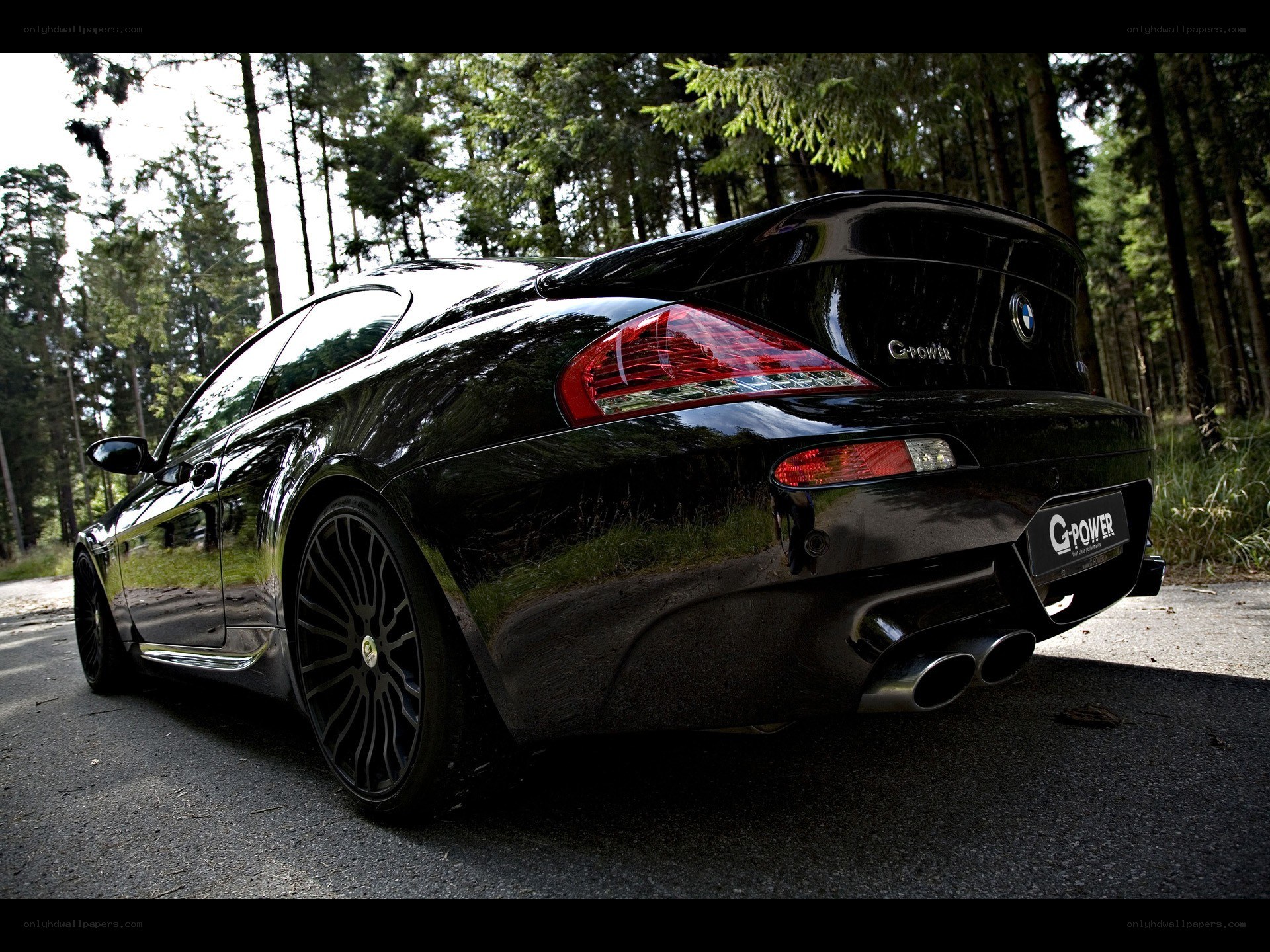 black bmw coupe in forest