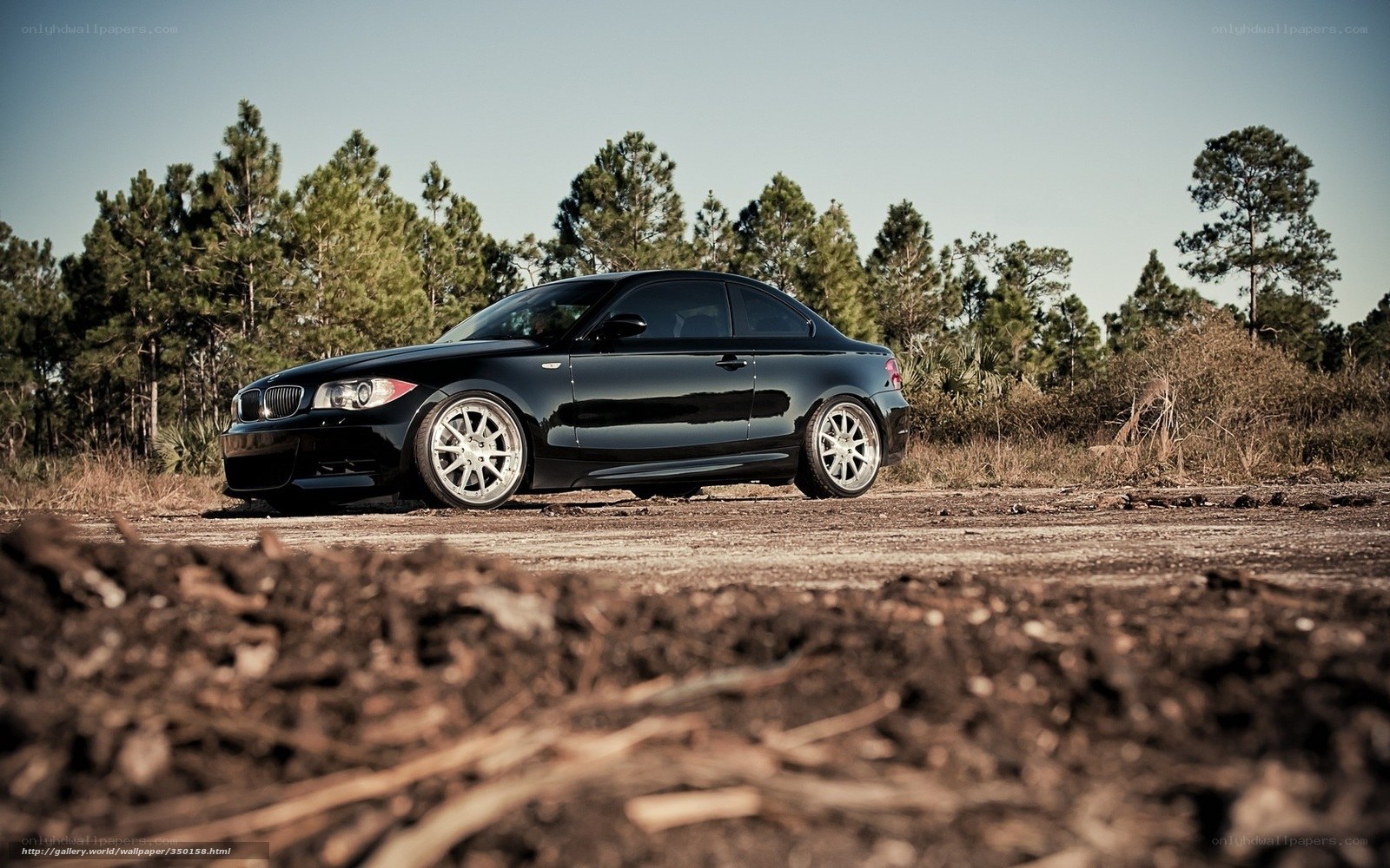 black bmw coupe in forest