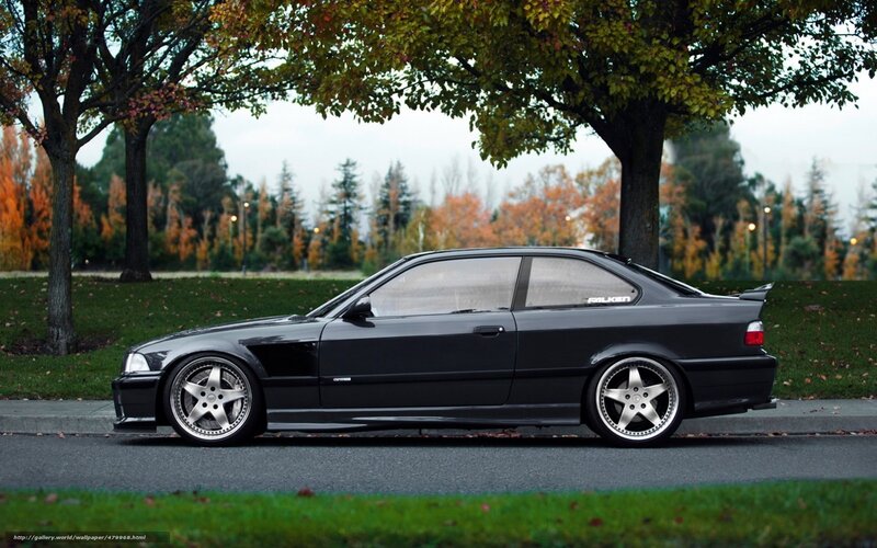 black bmw coupe in park