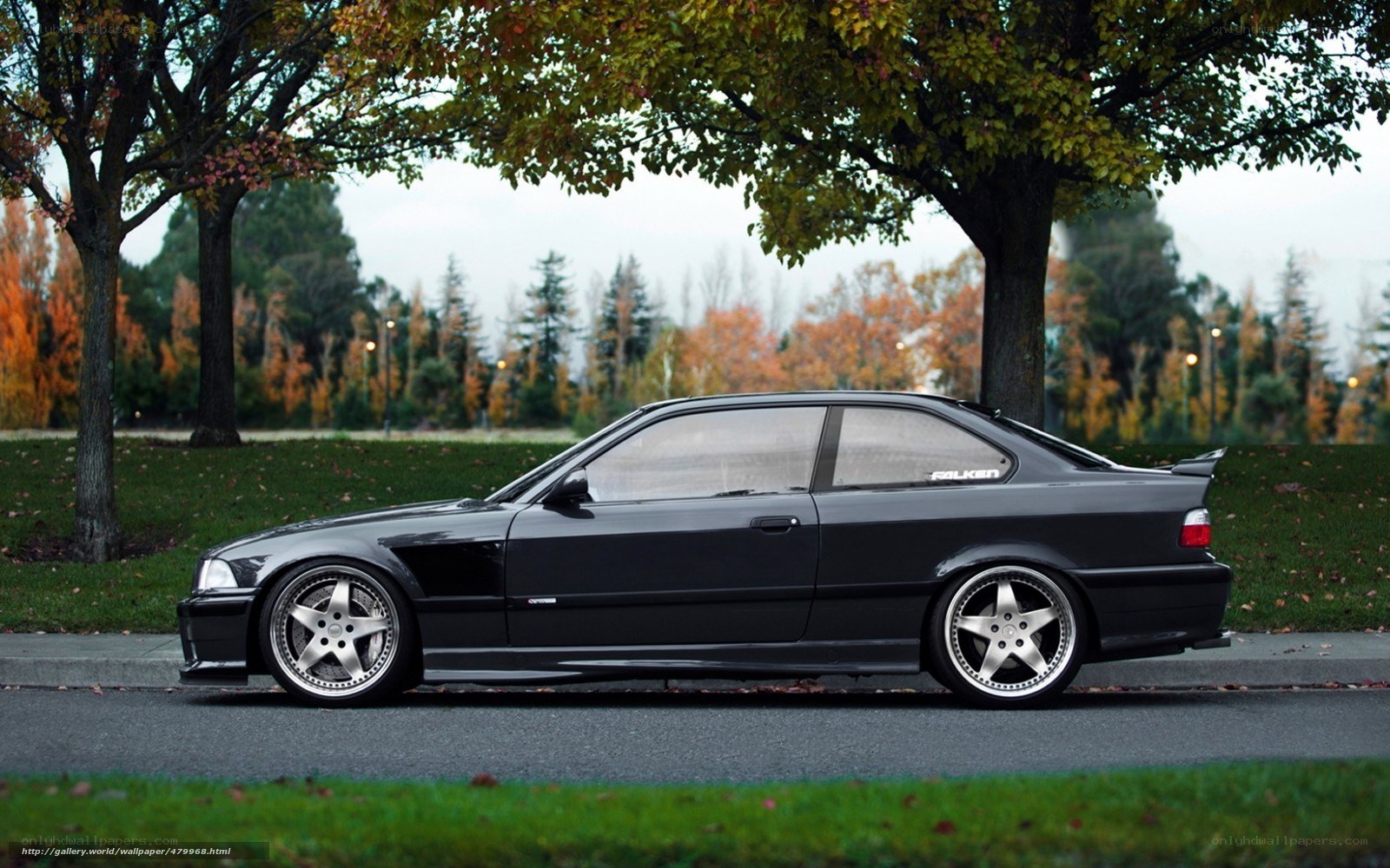 black bmw coupe in park