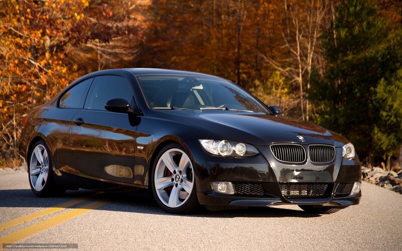 Black BMW coupe on autumn road