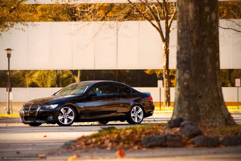 Black BMW coupe on autumn street