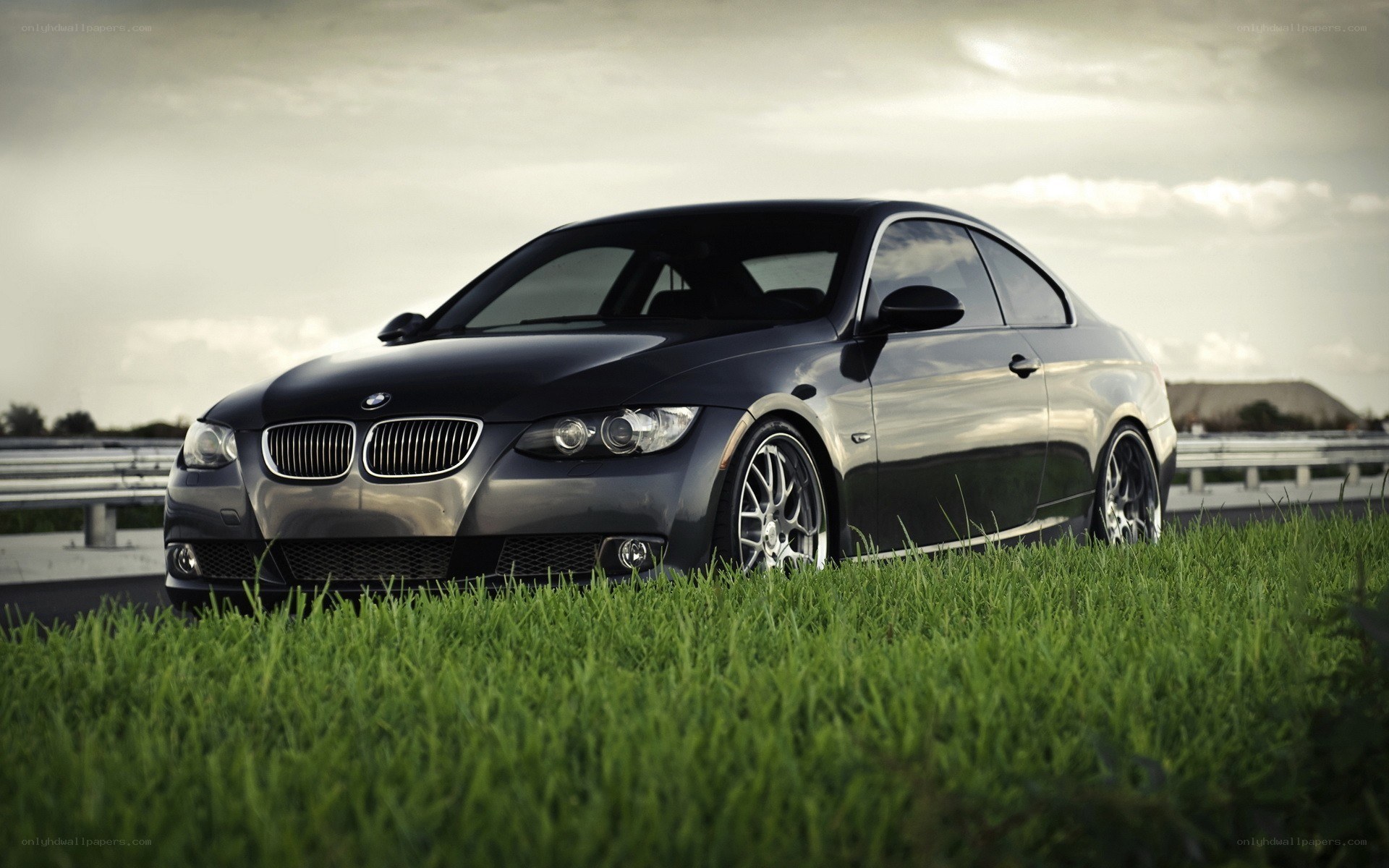 Black BMW coupe on grass