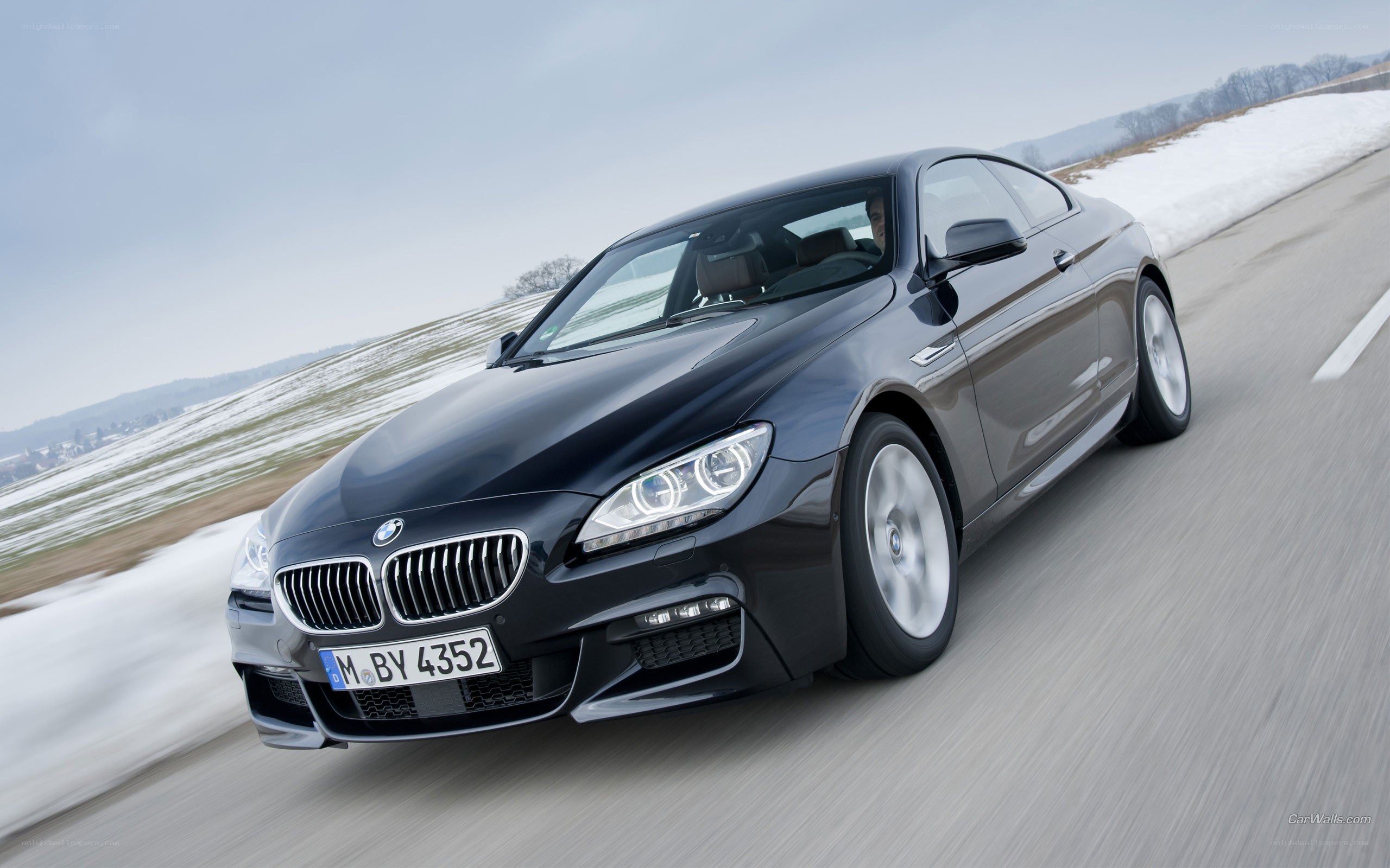 black bmw coupe on road