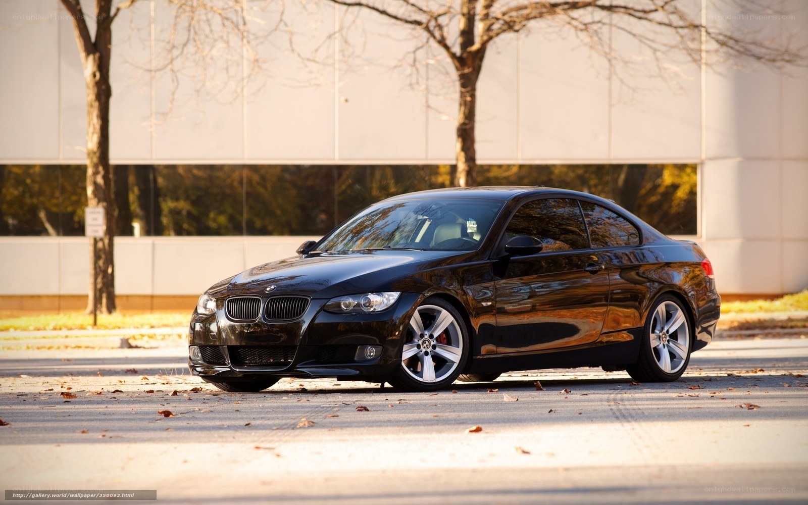 black bmw coupe on street