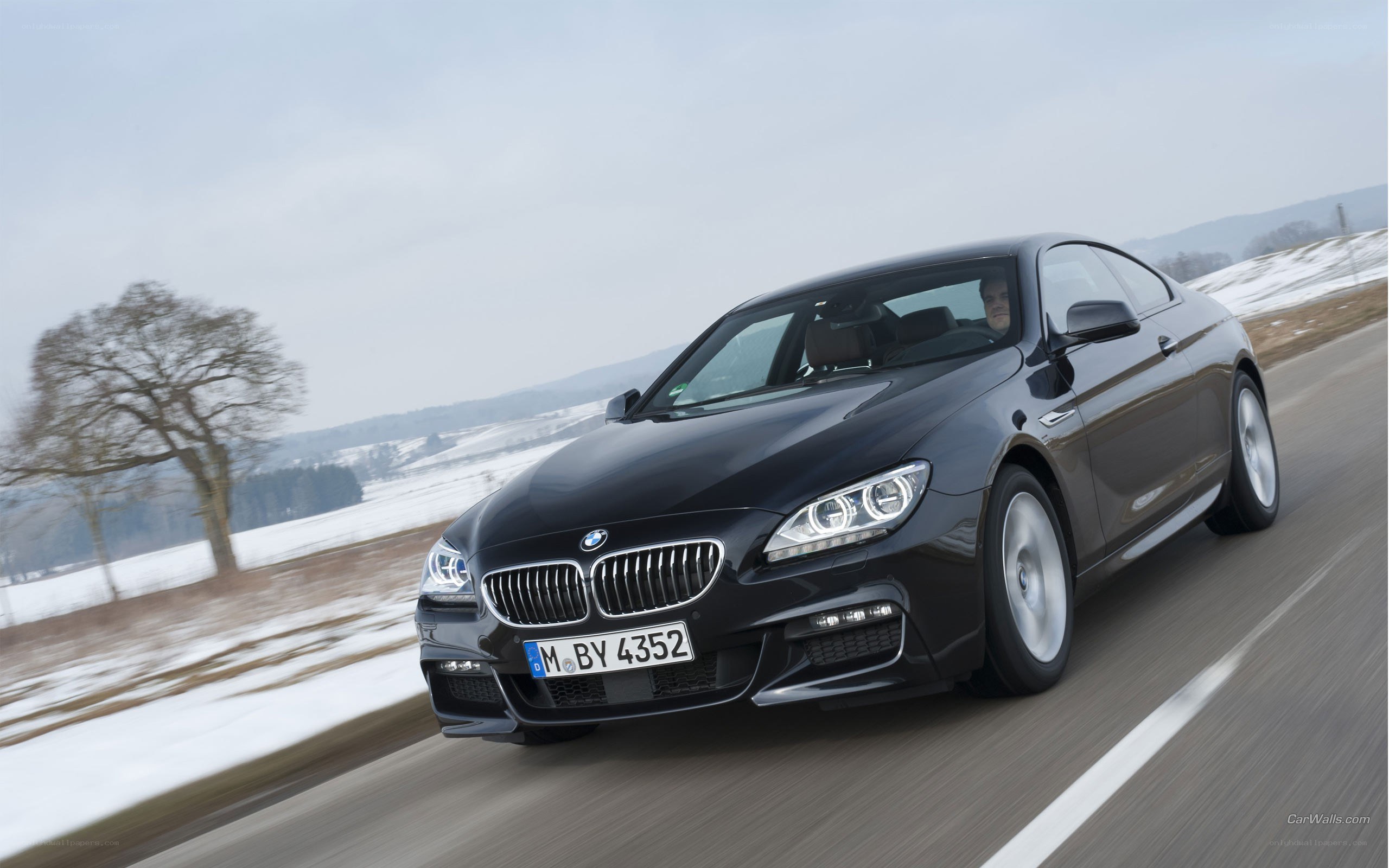 black bmw coupe on winter road