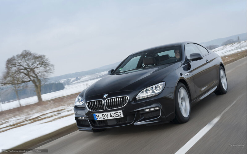 black bmw coupe on winter road