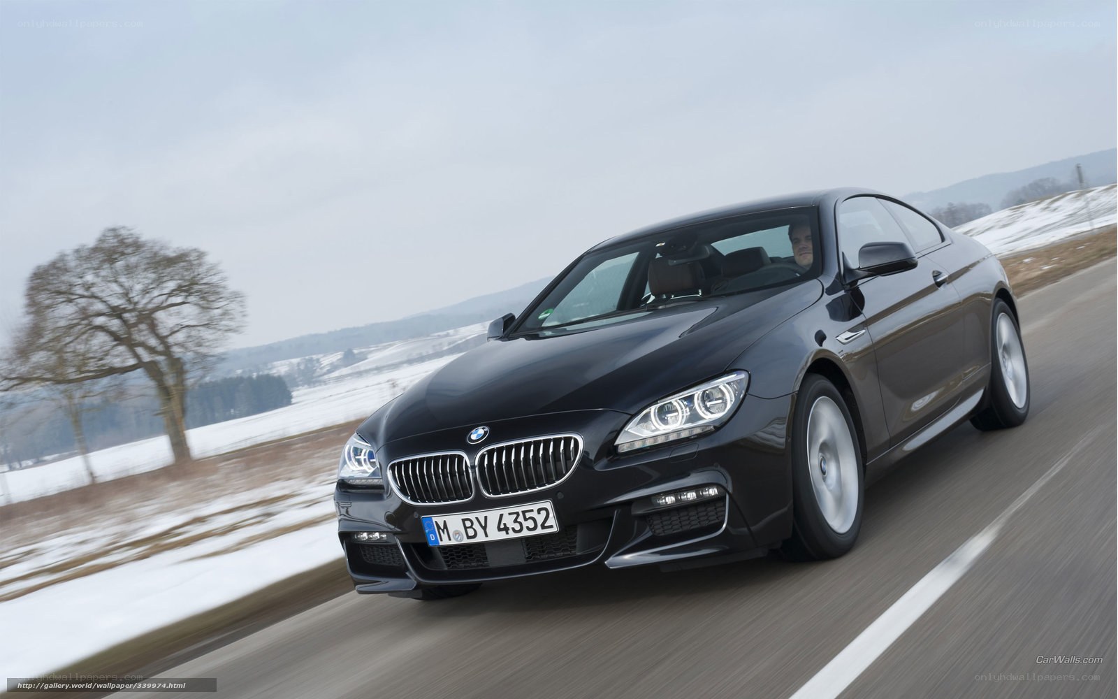 black bmw coupe on winter road